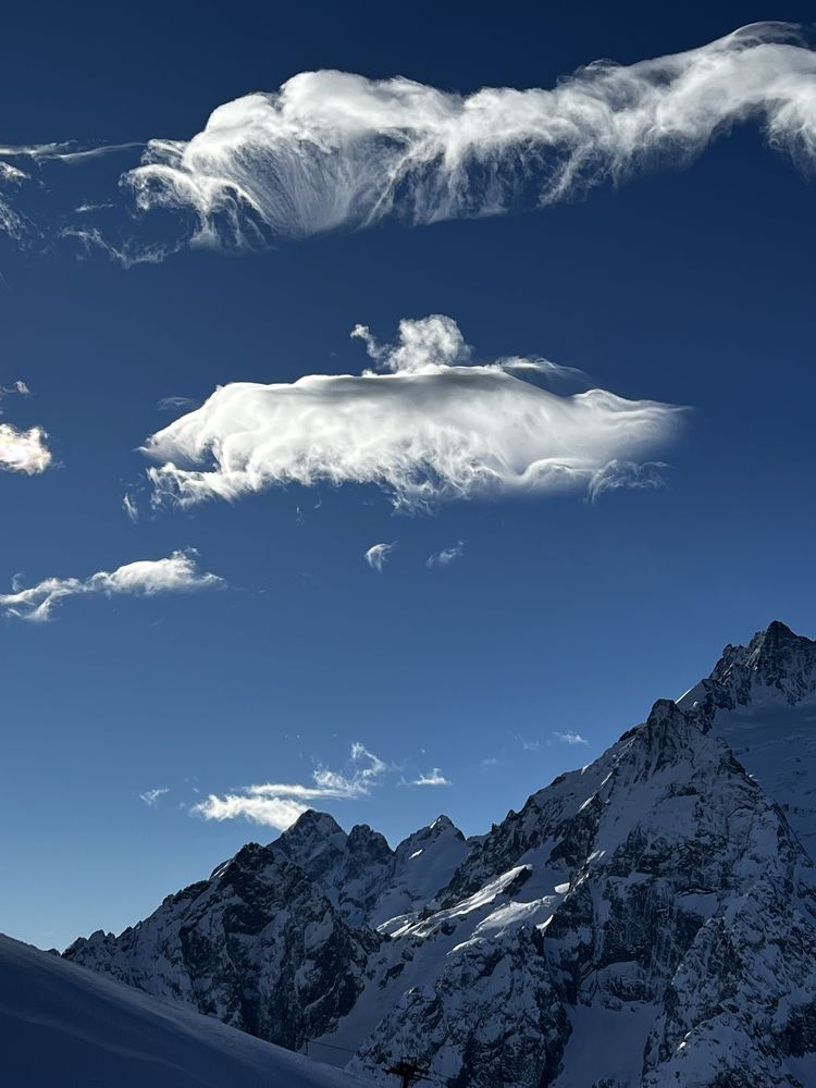 Фотография автора Юлия Недосекина