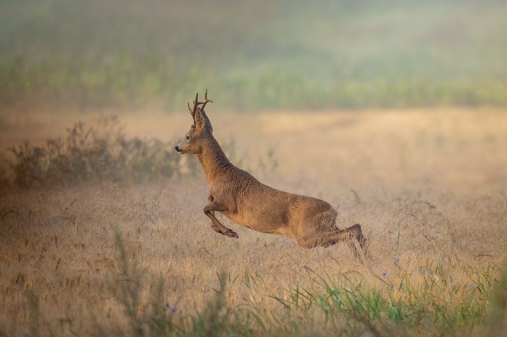 Photograph by Wiktor Kulesa