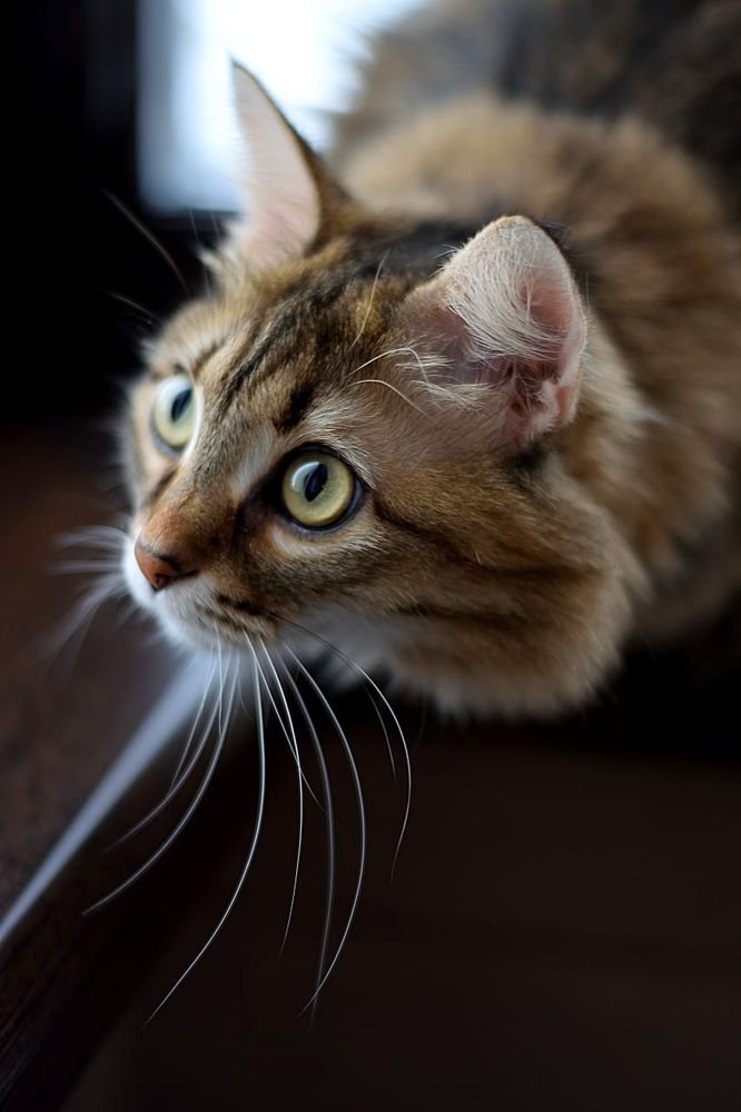 Photograph by Мария Сафронова