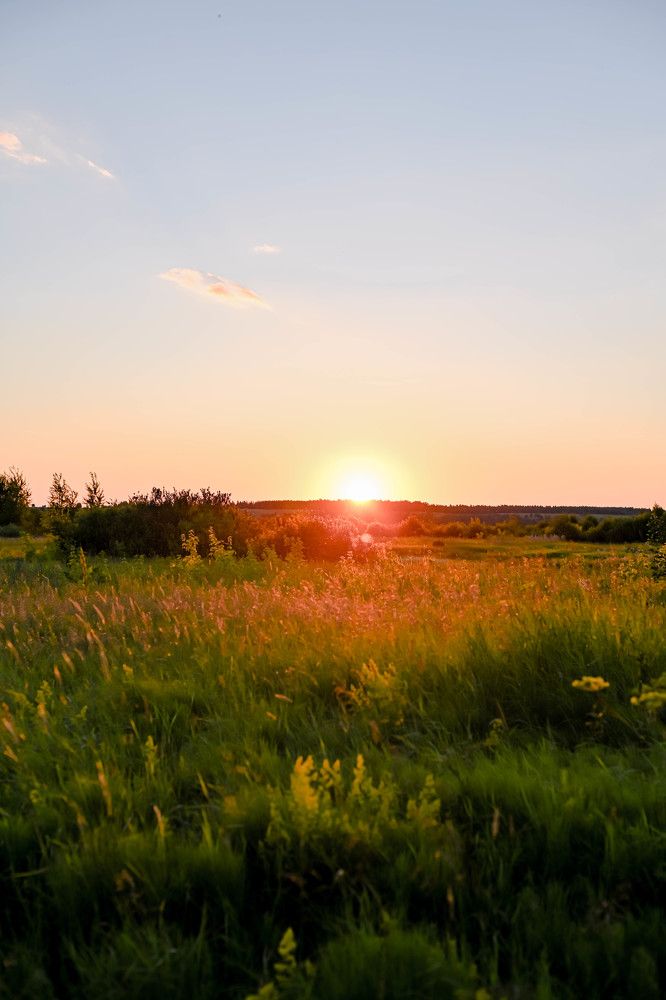 Фотография автора Галина Башканкова