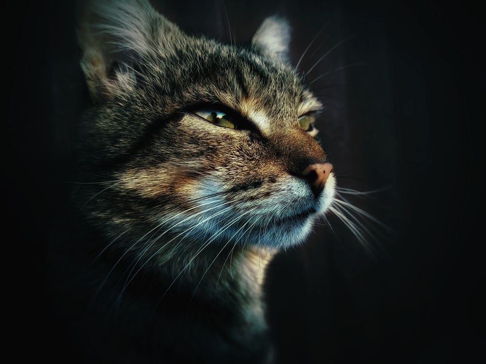 Photograph by Александра Королёва