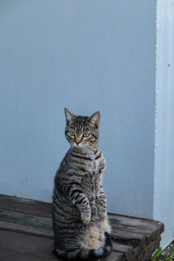 Photograph by Елена Алексеева