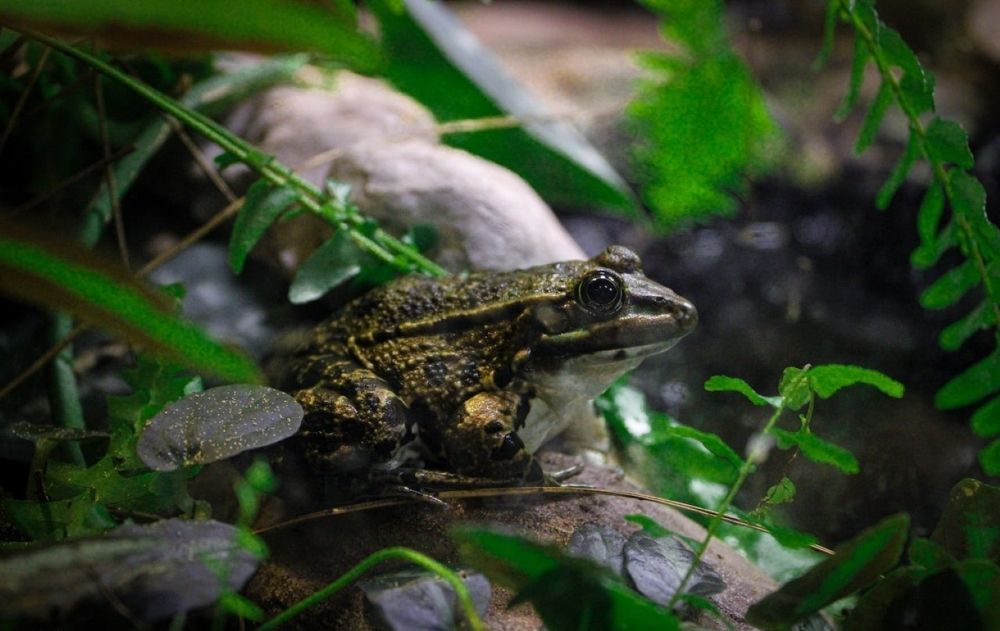 Photograph by Ksenia Mihhailovskaja