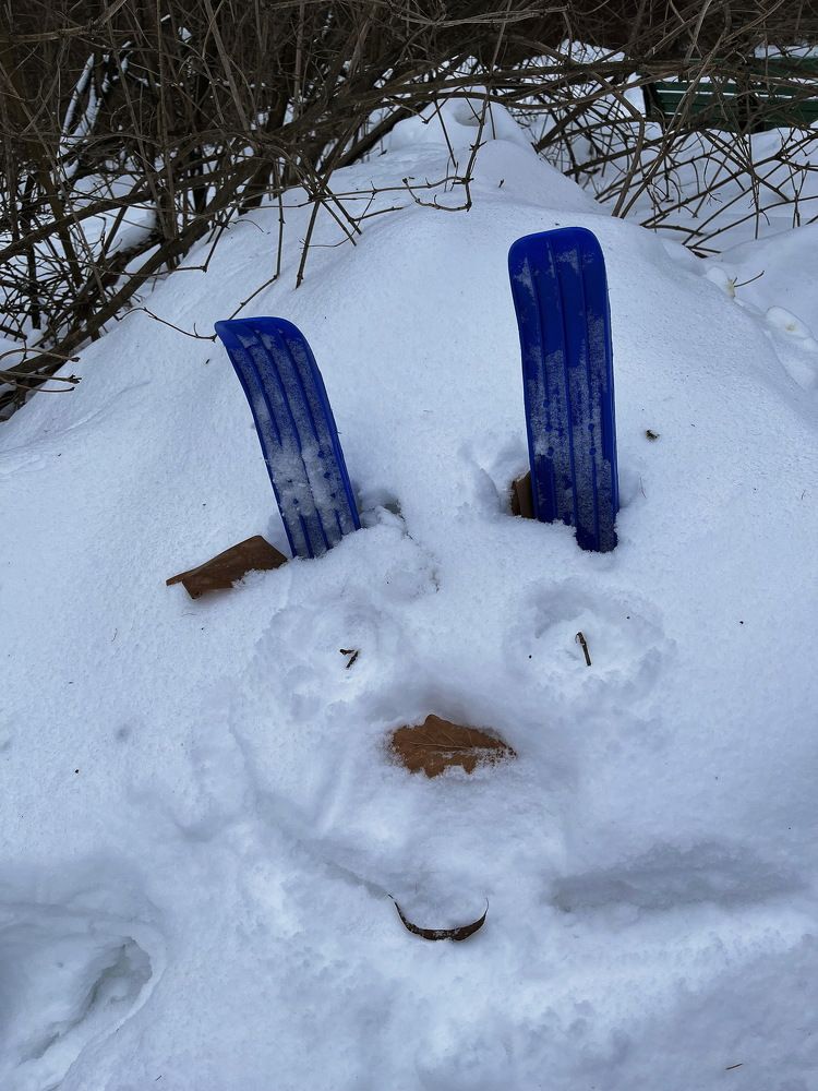 Чудо...Лыжник...!