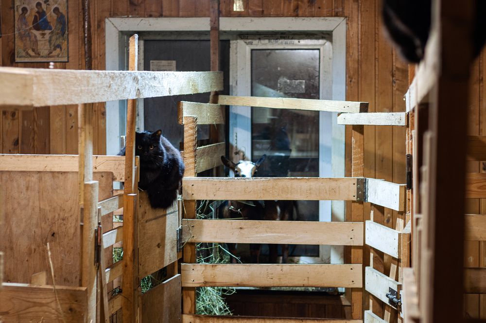 Photograph by Юлия Лис-а