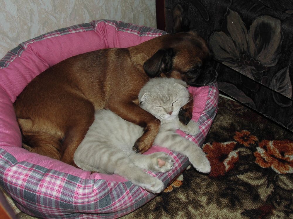 Photograph by Лариса Неудачина