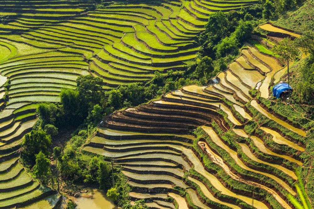 Фотография автора Quan Hung