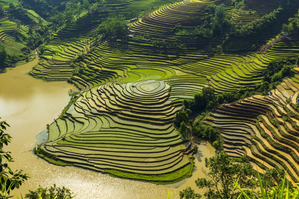 Фотография автора Quan Hung