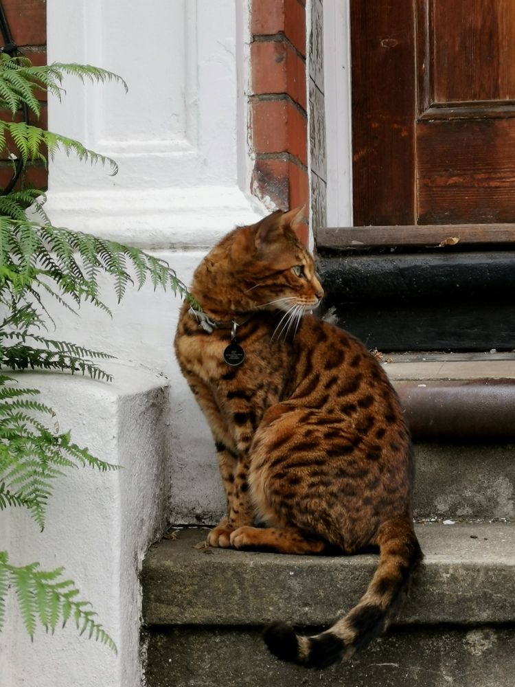 Photograph by Ингрида Кузнецова