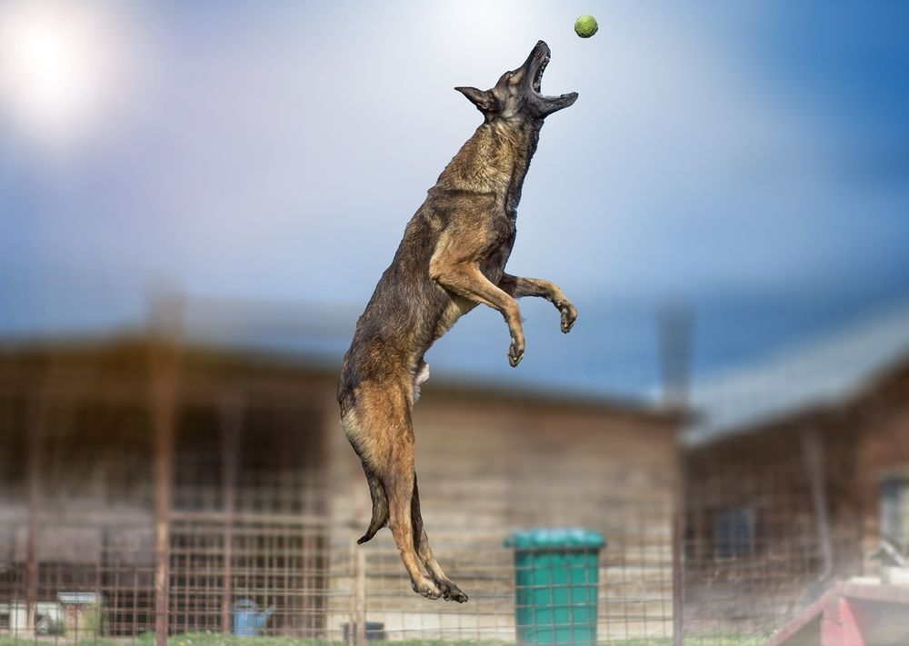 Photograph by Ivan Mandic