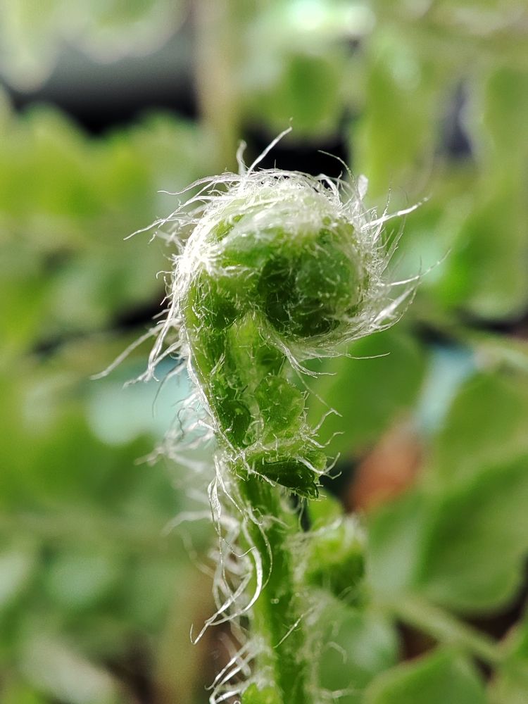 Photograph by ValentinaK