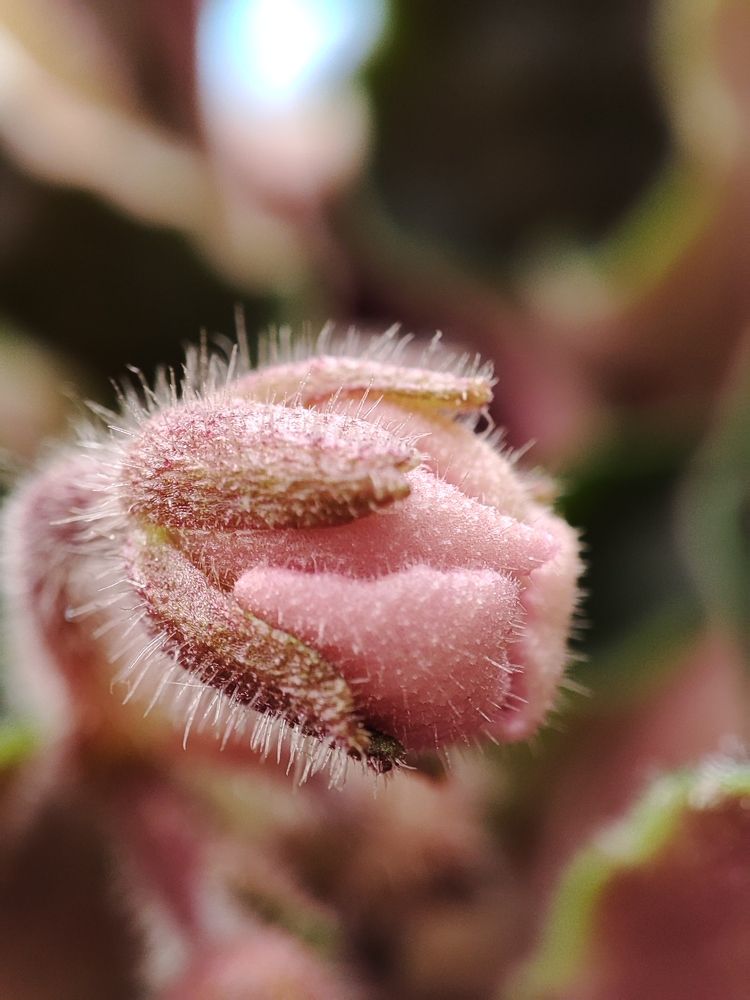 Photograph by ValentinaK