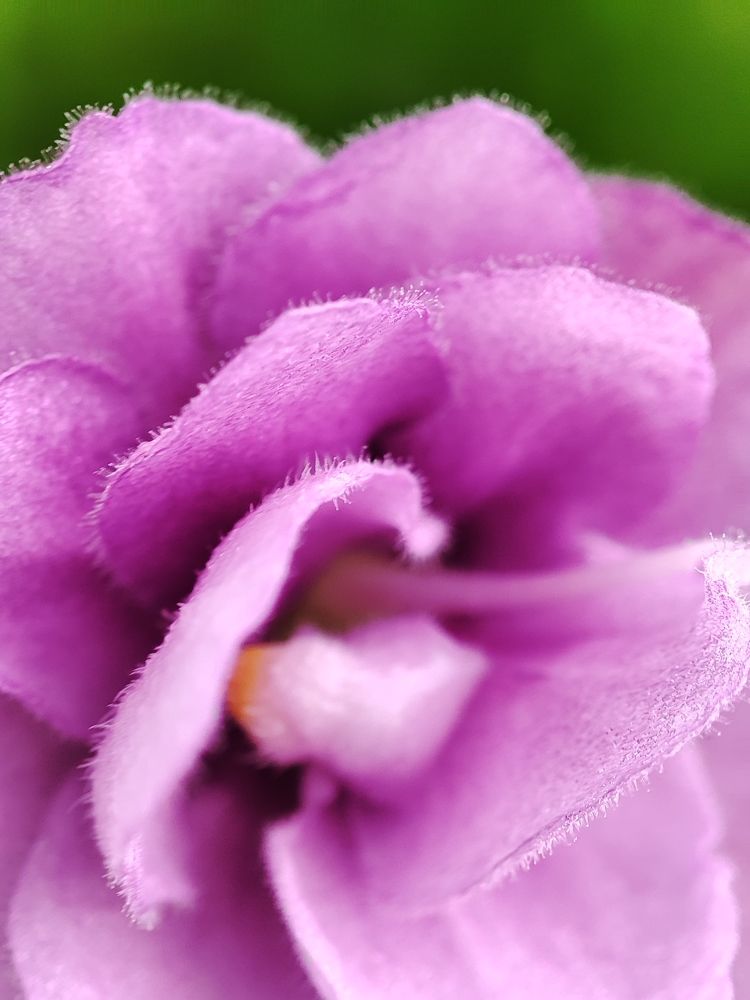 Photograph by ValentinaK