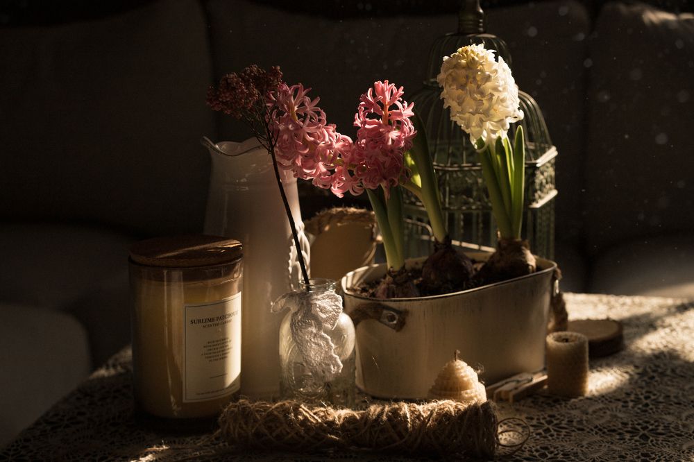 Photograph by ИРЕНА Федорова