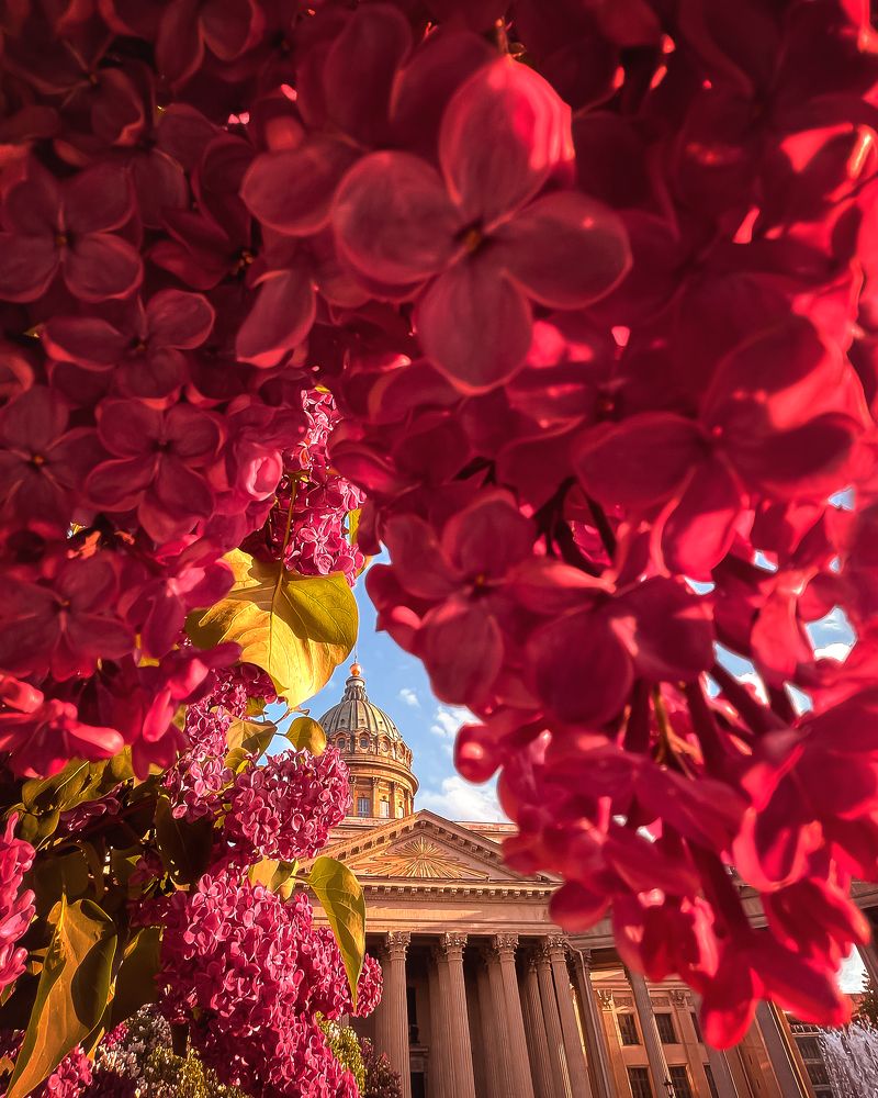 Фотография автора Мазурева Анастасия