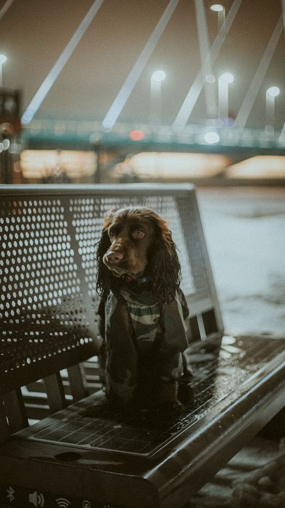 Photograph by Bolatkali Zhan