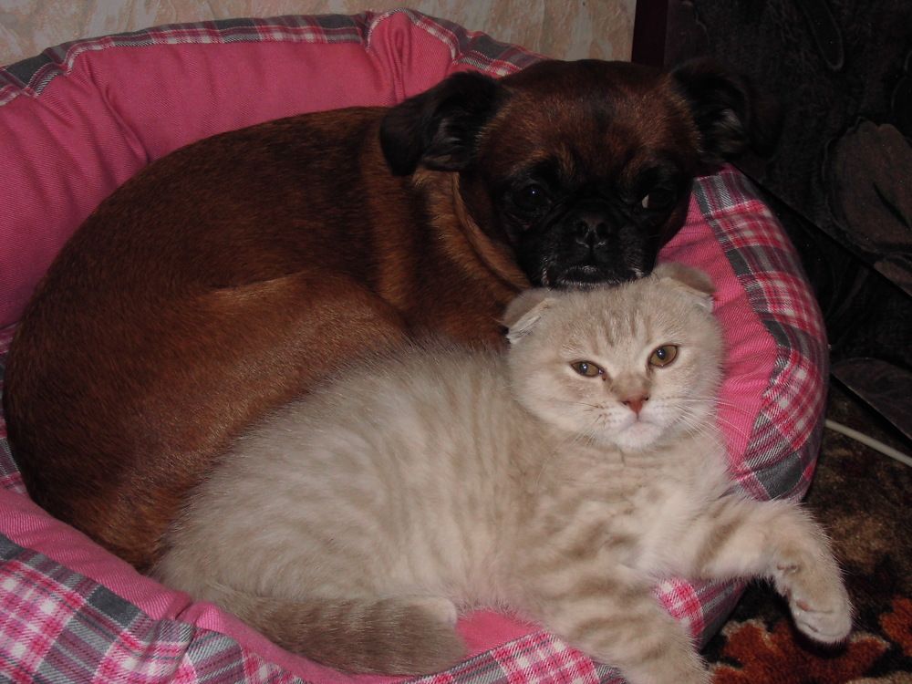 Photograph by Лариса Неудачина