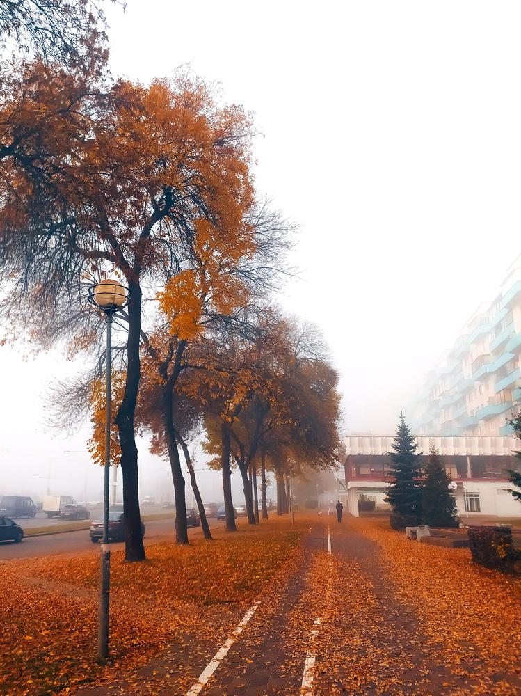 Photograph by Ирина Половцева