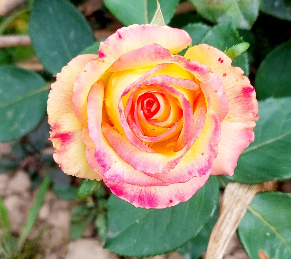 Photograph by Андрей Зиновьев