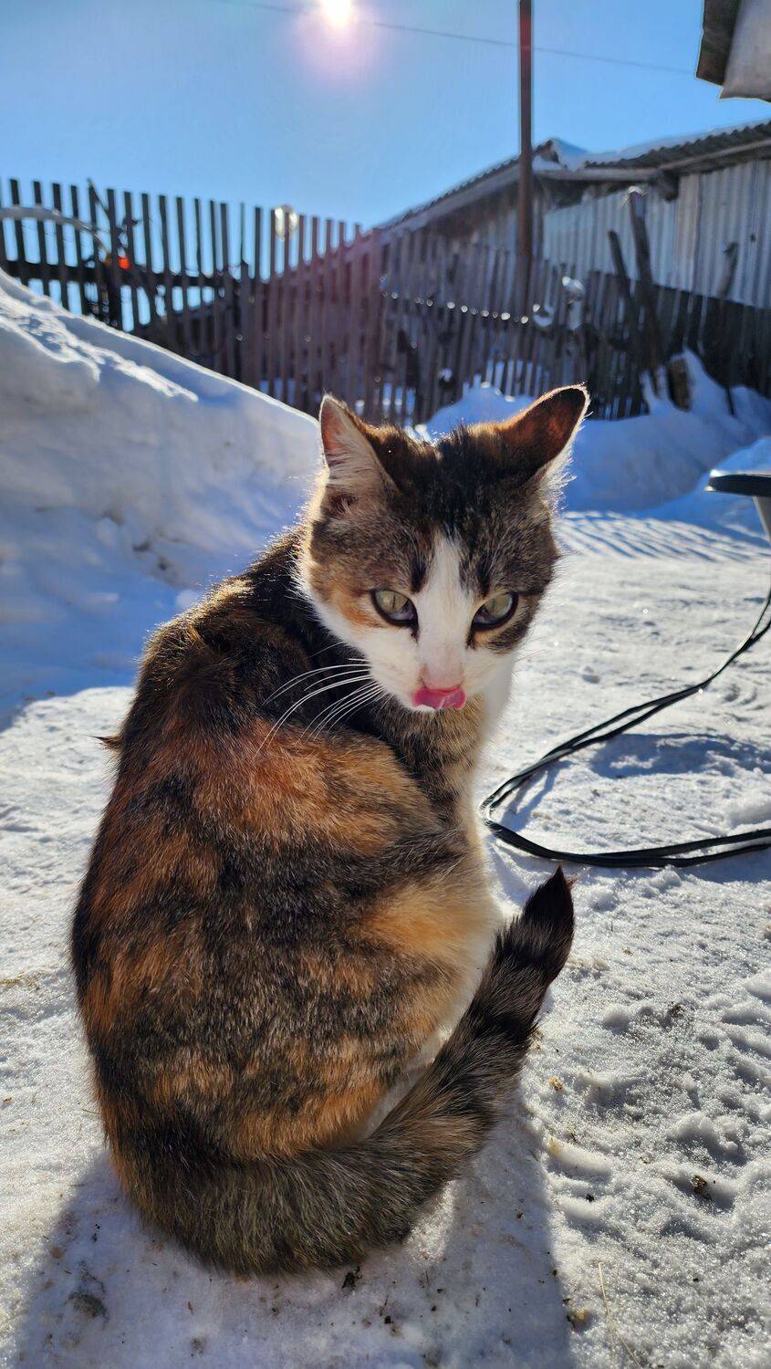 Photo #8978223