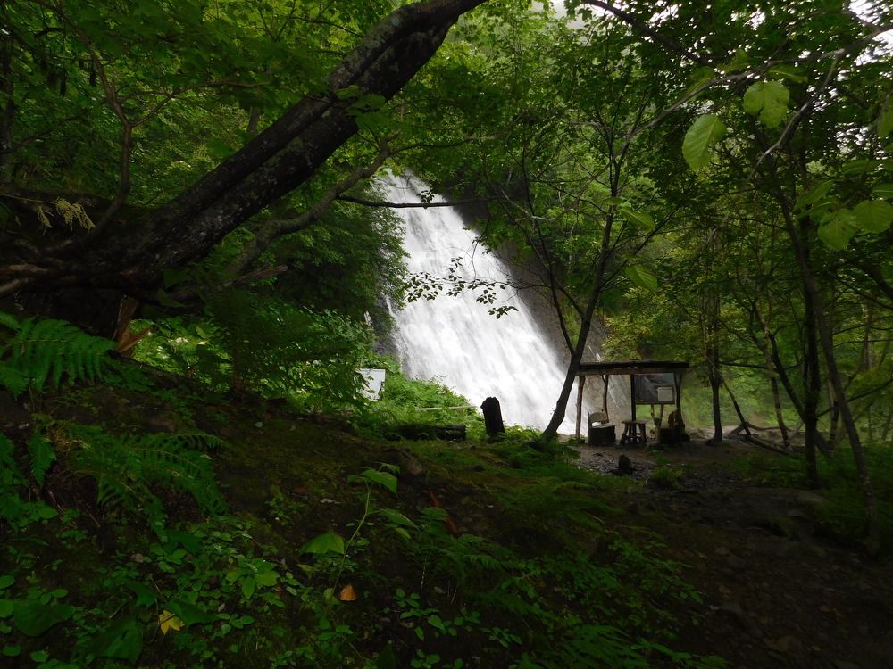 Photograph by Алексей Исаченко