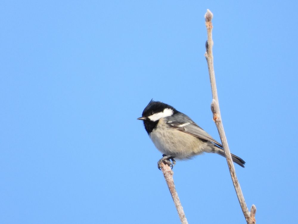 Photograph by Алексей Исаченко