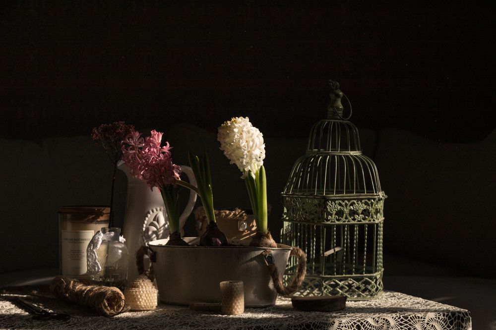 Photograph by ИРЕНА Федорова