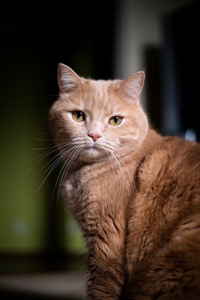 Photograph by Татьяна Полякова