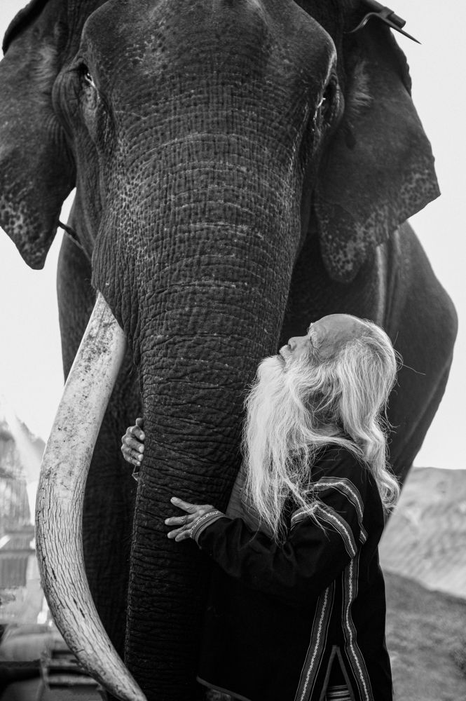 Photograph by Tùng Anh