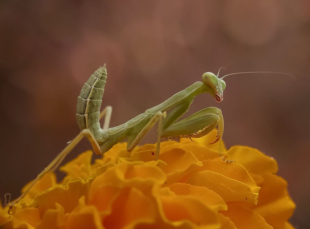 Photograph by Shubhra Das