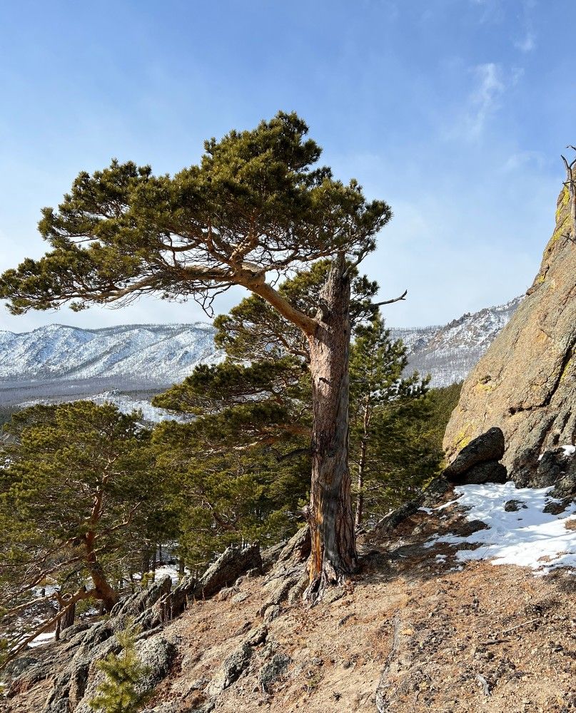 Photograph by Евгения Казакова