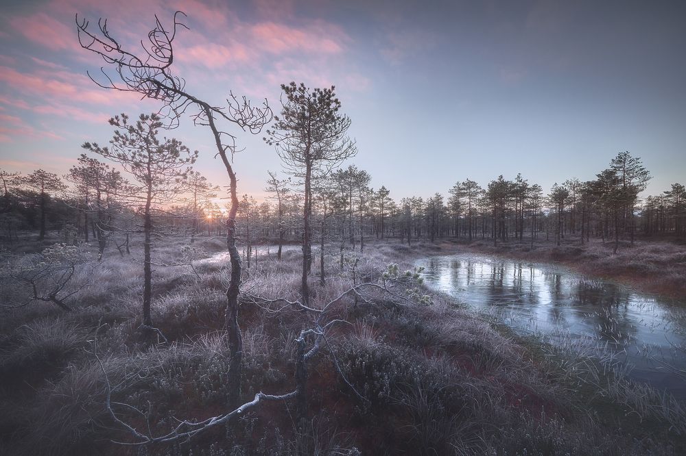 Photograph by Кононов Антон