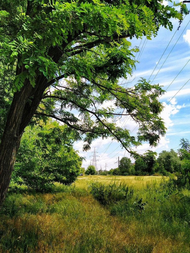 Фотография автора Гвоздецкая Анна