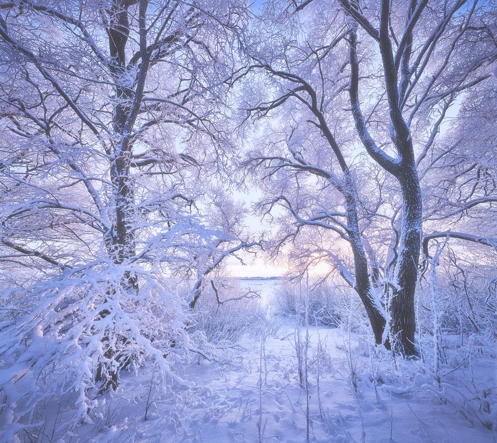 Photograph by Кононов Антон