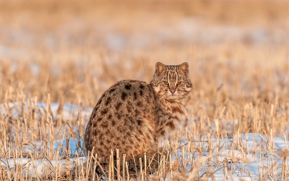 Photograph by константин