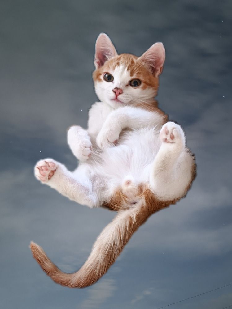 Photograph by Дмитрий Кузнецов