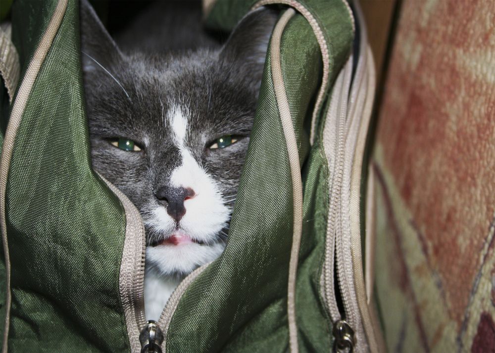 Photograph by Людмила Костюкова