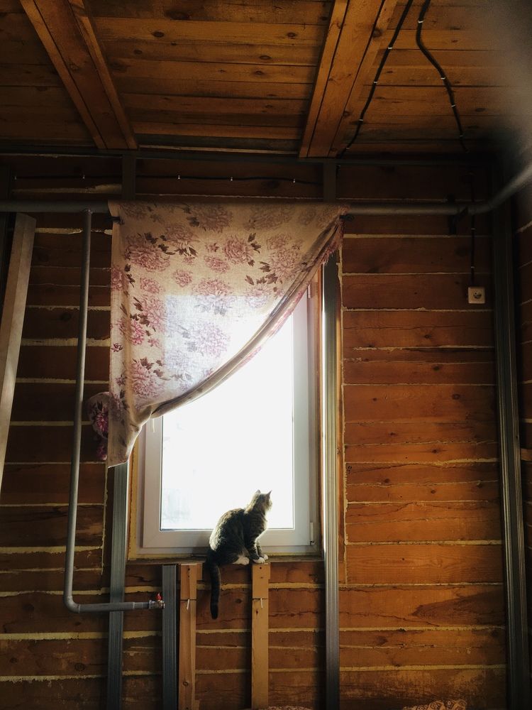 Photograph by Ольга Трушина
