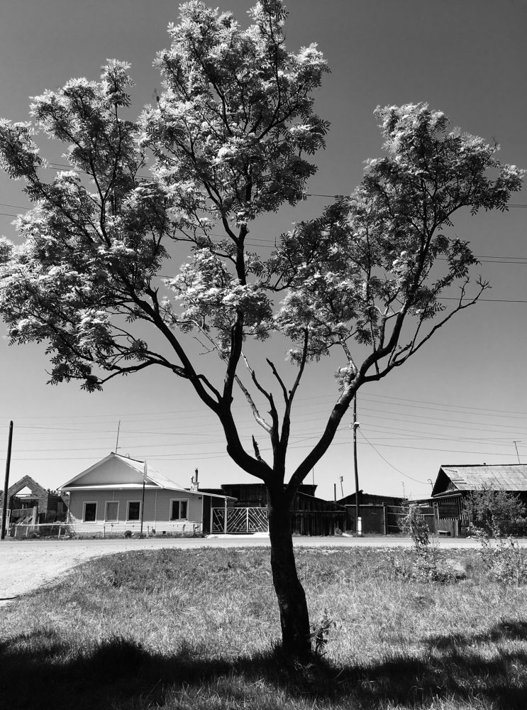 Photograph by Кирилл Трушин