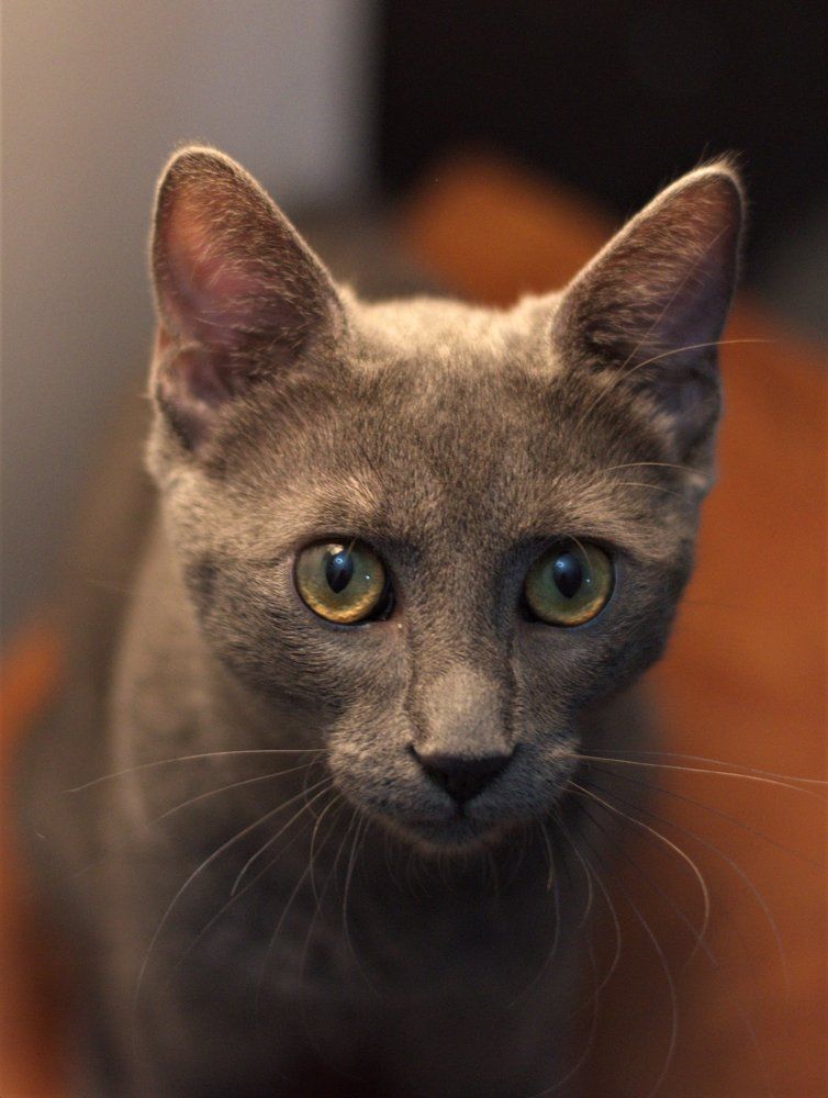 Photograph by FLORINDA LOREDANA CIURARU