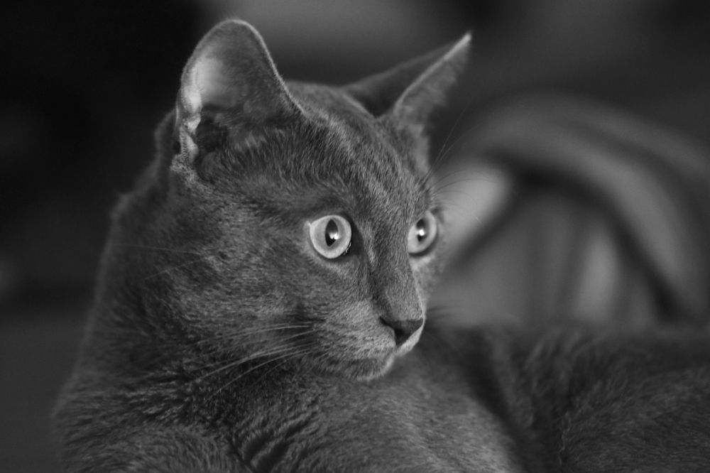 Photograph by FLORINDA LOREDANA CIURARU