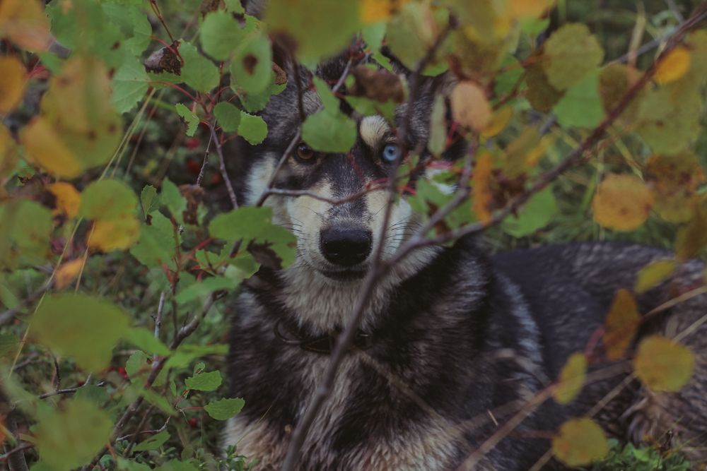 Photograph by Виктория Тулина