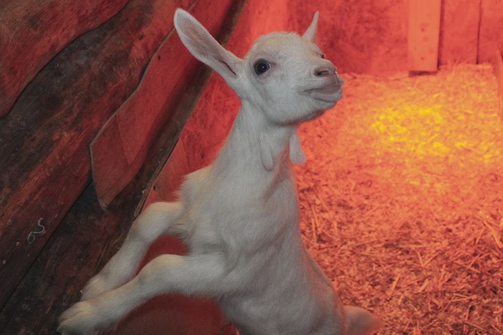 Photograph by Виктория Тулина