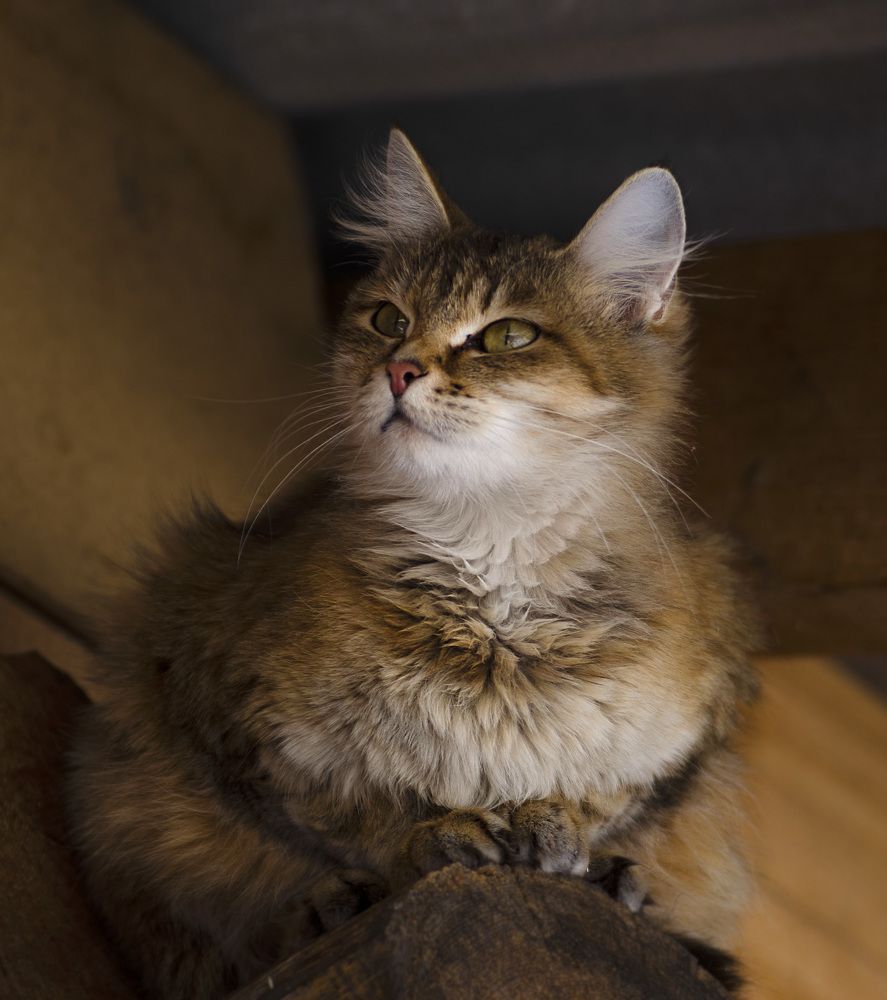 Photograph by Эльвира Быкова