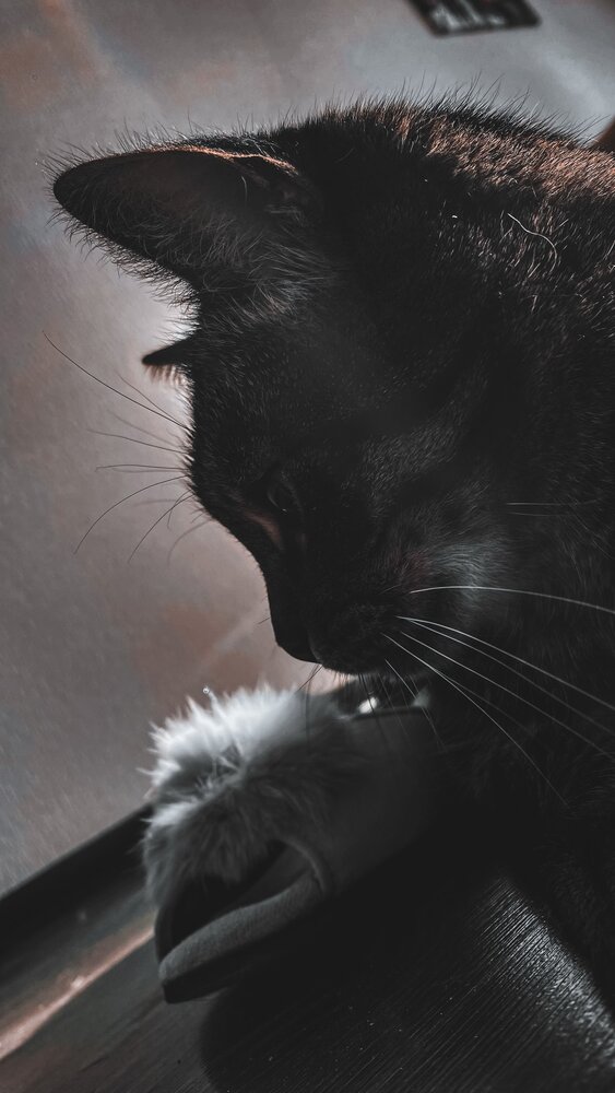 Photograph by Svetlana