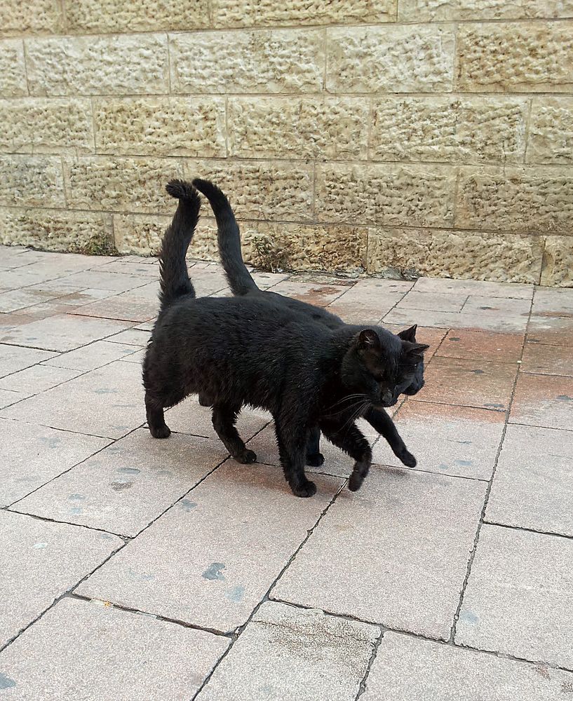 Photograph by Оксана Макарова