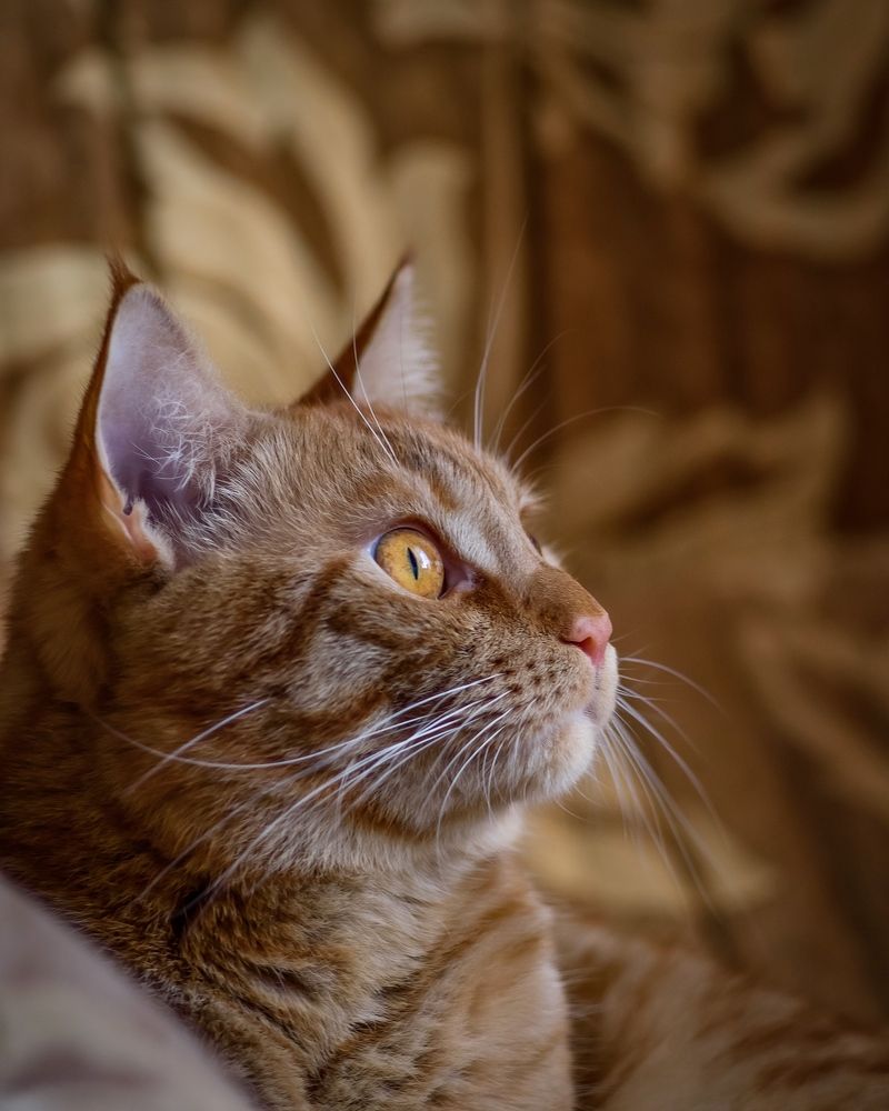 Photograph by Игорь Н. Адамов