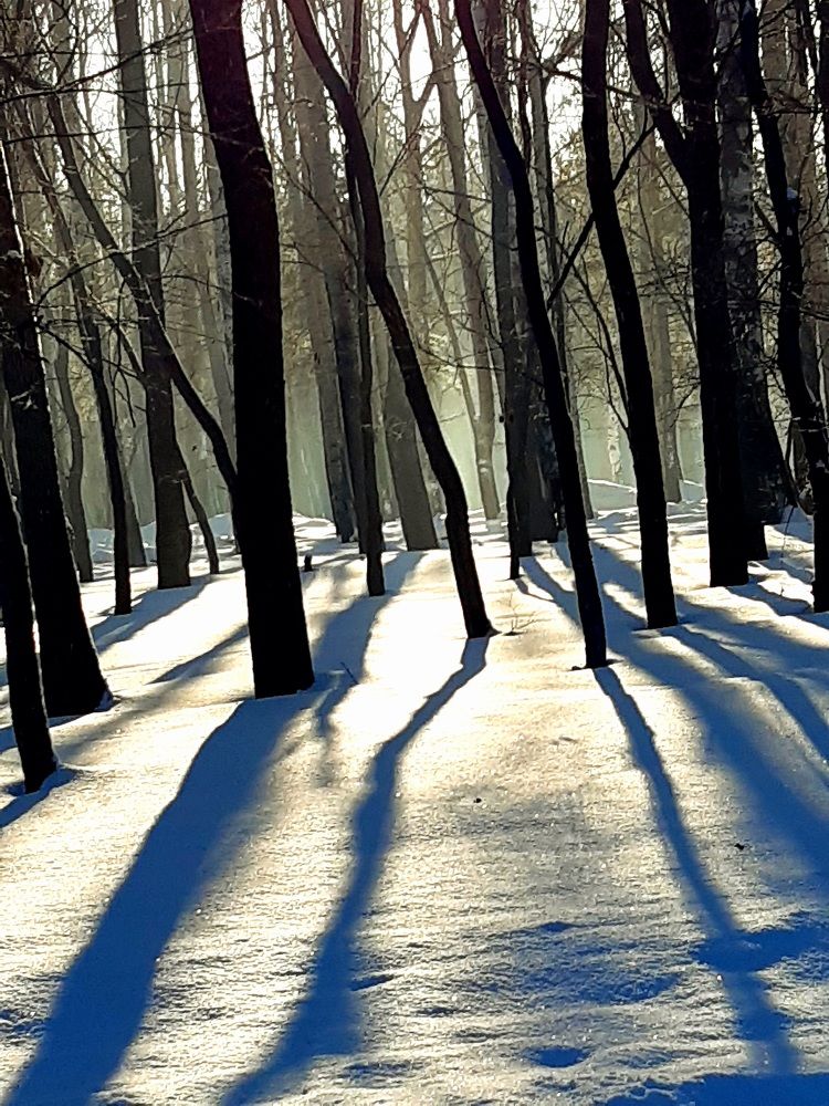 Фотография автора Наталья Шендяпина