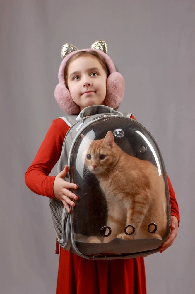 Фотография автора Ираида Гайфуллина