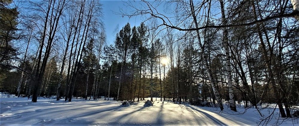 Photograph by Николай Худяков